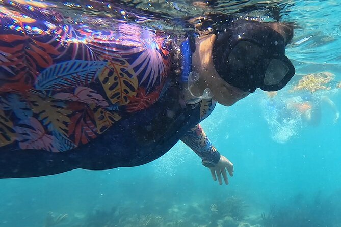 1.5 hours Snorkeling at Tulum's paradise reef - Price and value: what $36.50 covers, and what might cost extra