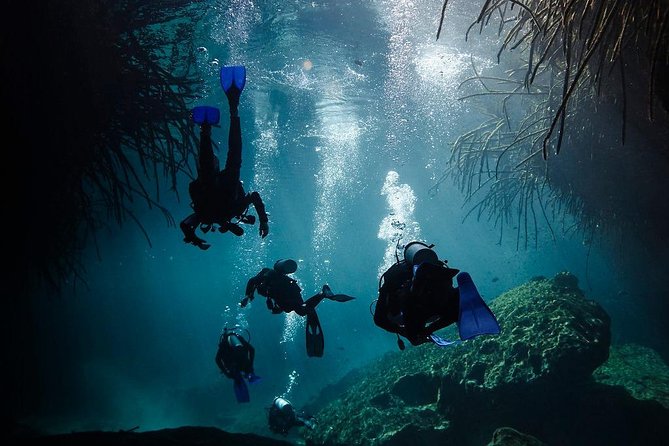 2 cenote divings (including one deep diving) for advanced divers in Tulum - Small group size, English guidance, and what you can realistically expect