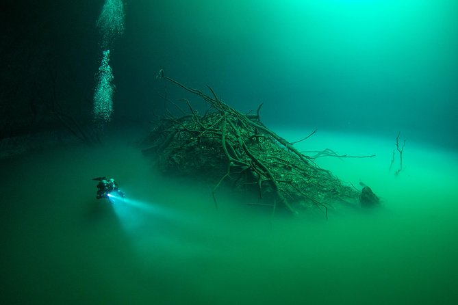 2 cenote divings (including one deep diving) for advanced divers in Tulum - Price and value: is $215 worth it?