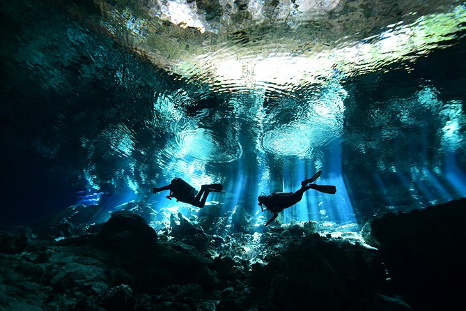 2 dives in Cenote Dos ojos Certified Divers - Key things that make this tour worth your time