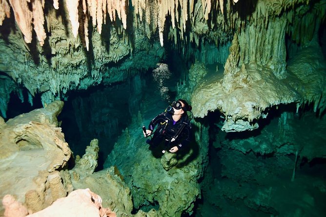 2 dives in Cenote Dos ojos Certified Divers - Cenote Dos Ojos plus a second stop: what the 5 hours feels like