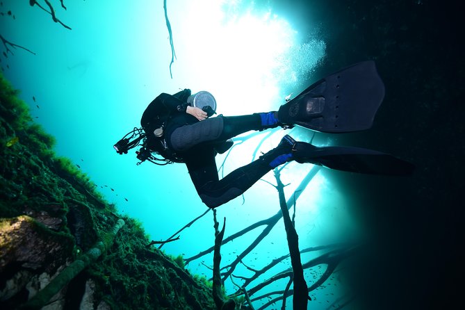 2 dives in Cenote Dos ojos Certified Divers - Guides and safety: small group attention, plus real name examples
