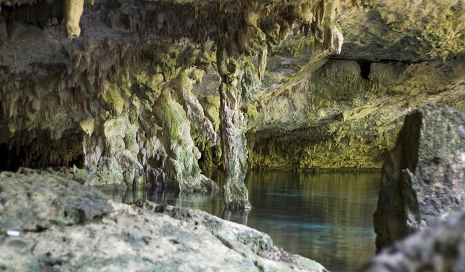 2 dives in Cenote Dos ojos Certified Divers - Price and value: what $200 includes, and what might cost extra