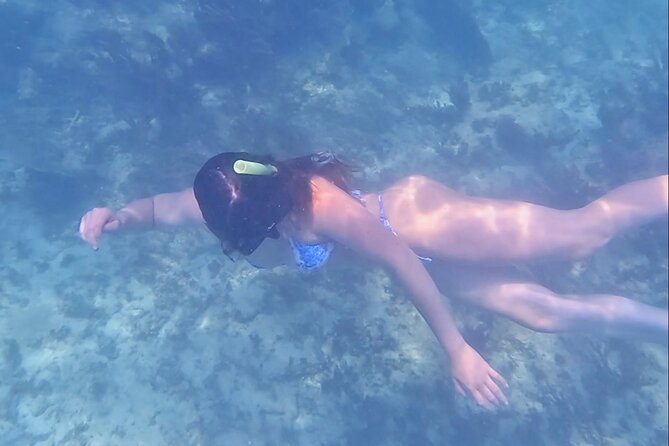 2-Hour Snorkeling in Two Spots of Tulum's Reef - Stop One in Tulum National Park, Where Sea Turtles Lead