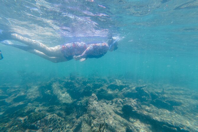 2-Hour Snorkeling in Two Spots of Tulum's Reef - Who This Snorkel Tour Suits Best