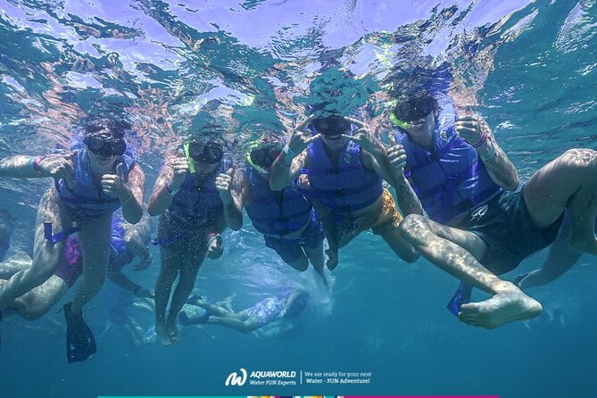 2-Hour Snorkeling Paradise Reef in Cancún Underwater Museum - Key Highlights You’ll Actually Notice