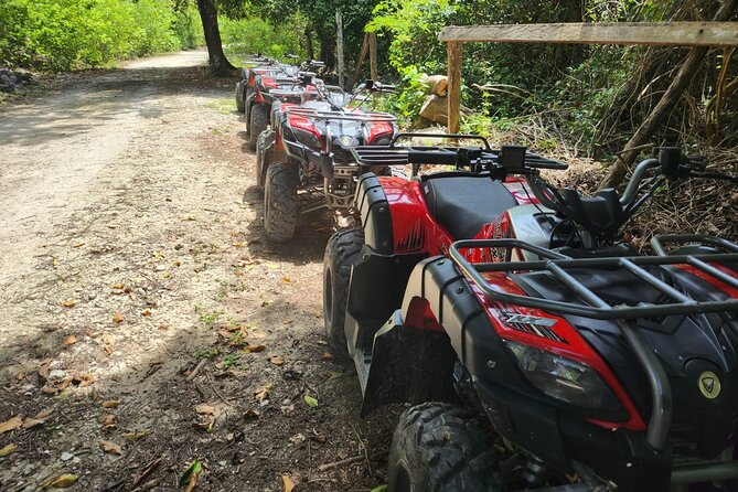 2 Hours ATV Jungle, Caverns and Mayan Ruins Tour - Rancho Buenavista Pick-Up to Real Adventure Vibes