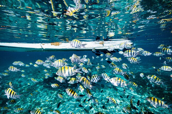 2 in 1 Parasail Cancun and Jet ski - Group size and timing: why the day can feel smooth, or rushed
