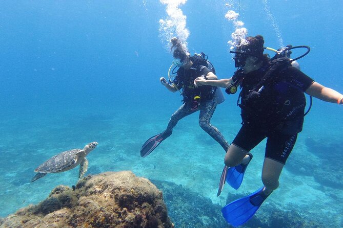 2 Tank Cozumel Reef Boat Dives - Small groups of up to 4 in the water, plus 8 on the boat