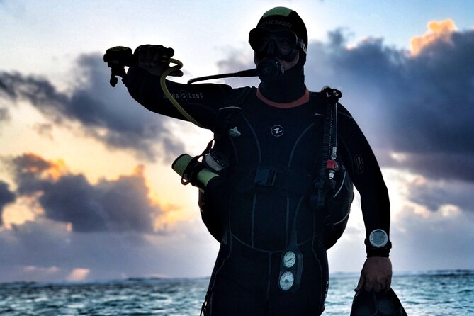 2 Tank Dive (for certified divers) - Where You Go: The Fingers Reef and the Meso-American Barrier Reef