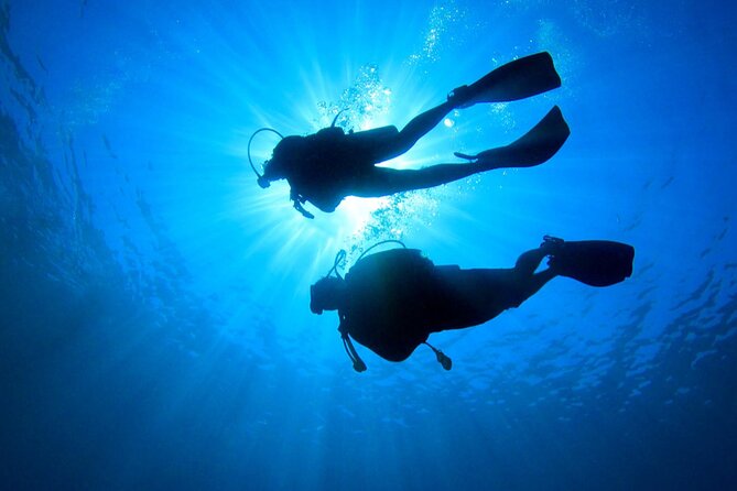 2 Tank Dive (for certified divers) - Cruise-Day Smoothness: Short Taxi Rides and a Clear Return Plan