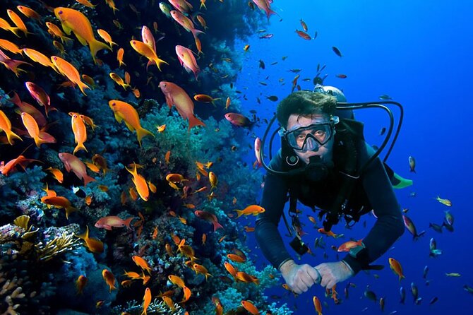 2 Tank Dive in Cozumel - First Stop at Aqua Excursions: Where the Day Starts