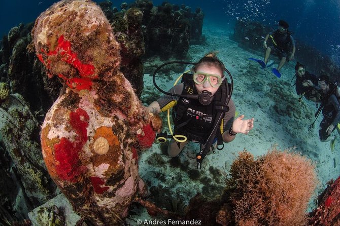 2 Tank Dives MUSA and Manchones reef (Certified divers) - Why This 2-Tank MUSA and Manchones Plan Works in Half a Day
