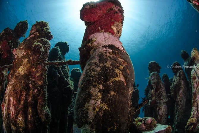 2 Tank Dives MUSA and Manchones reef (Certified divers) - Depth, Duration, and Comfort Tips for a Smooth Morning