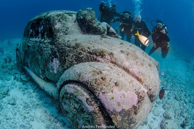 2 Tank Dives MUSA and Manchones reef (Certified divers) - Price and Value: What $167.28 Really Covers