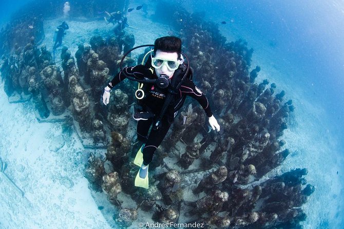 2 Tank Dives MUSA and Manchones reef (Certified divers) - Underwater Museum Time: MUSA and the Fish-Spotting Setup