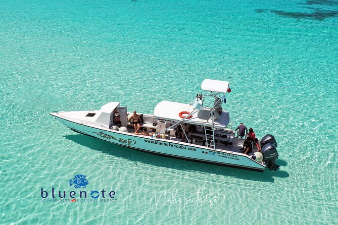 2 Tank Morning Dive: Scuba Diving in Cozumel - Cozumel Reef Time, Built for Certified Divers