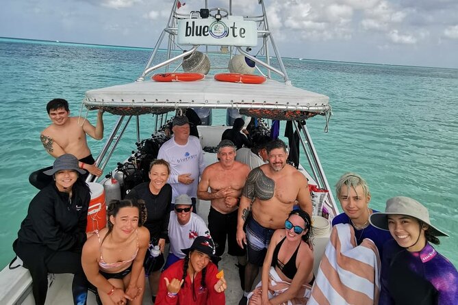 2 Tank Morning Dive: Scuba Diving in Cozumel - Lunch and Surface Interval: A Real Break, Not a Quick Snack