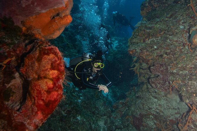 2 Tank Morning Dive: Scuba Diving in Cozumel - Second Reef Session: More Current, More Fish Action