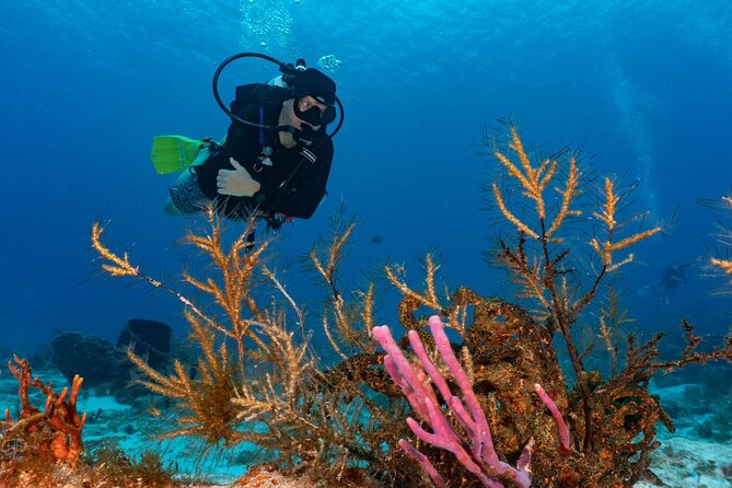 2 Tank Morning Dive: Scuba Diving in Cozumel - Guides and Safety: Why the Crew Matters on a Current-Friendly Day