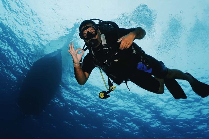 2 Tank Morning Dive: Scuba Diving in Cozumel - Price, Fees, and Value: What $160 Buys You in Cozumel