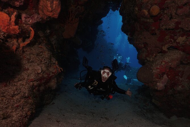 2 Tank Morning Dive: Scuba Diving in Cozumel - Who This Trip Fits Best (and Who Might Want a Different Plan)