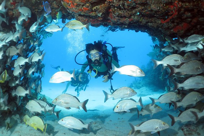 2-Tank Morning or Afternoon Dives in Playa del Carmen certified Divers Only - The boat ride and the two-reef plan that keeps things interesting
