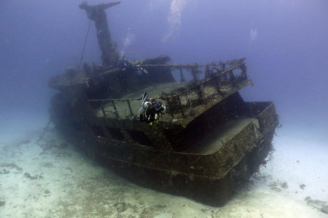 2-Tank Morning or Afternoon Dives in Playa del Carmen certified Divers Only - Safety, supervision, and the vibe on board