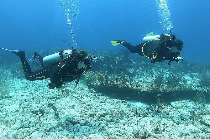 2 Tank Reef Dive in Mexico - 45-minute underwater sessions and the 3-minute safety stop: what the timing means