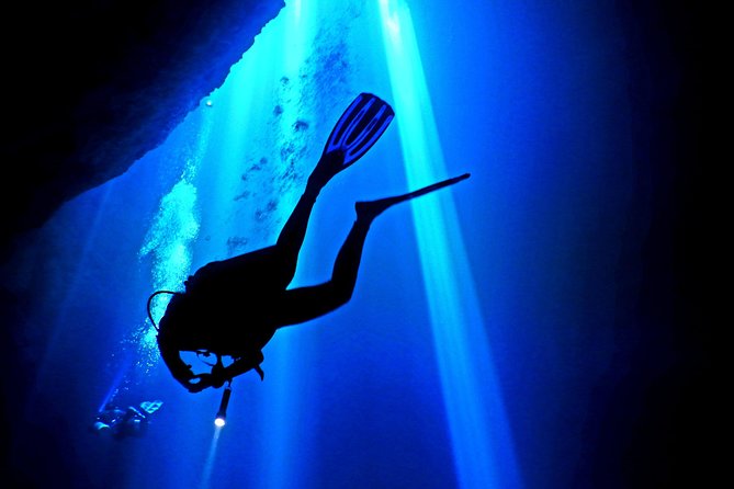 2 tanks Cenote Diving Adventure in Tulum for Certified Divers - Stop 2 at Dos Ojos: cavern section, bats, and limestone up close