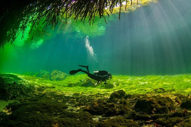 2 tanks Cenote Diving Adventure in Tulum for Certified Divers - The staff and safety vibe, from Martino to Bebe