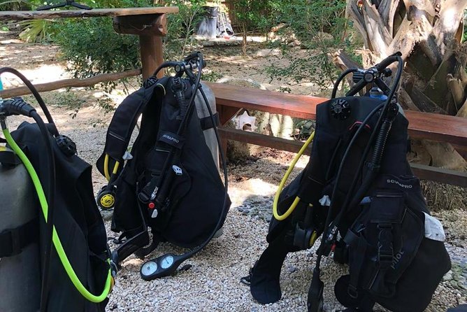 2 tanks Cenote Diving Adventure in Tulum for Certified Divers - What you get for $200, and where the value really is