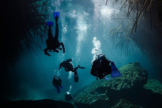 2 tanks Cenote Diving Adventure in Tulum for Certified Divers - Pace, group size, and who will feel happiest here