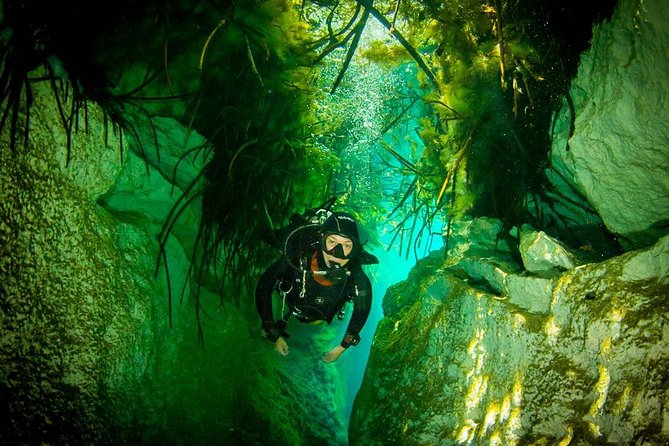 2 tanks Cenote Diving Adventure in Tulum for Certified Divers - Practical tips to make your morning smoother