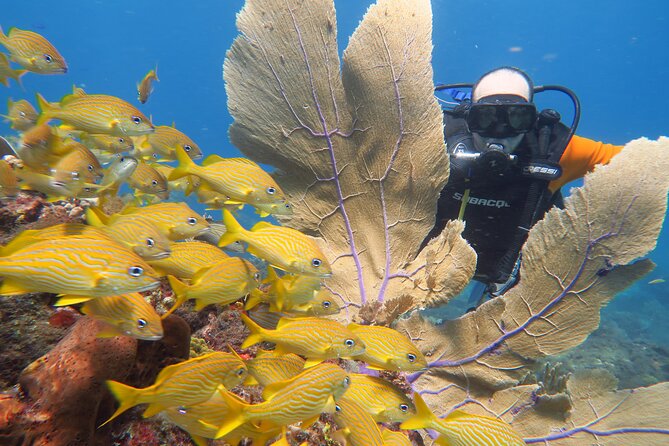 2 Tanks Dives Cancun Underwater Museum for Certified Divers - The medical statement: who can and cannot go