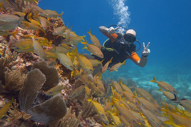 2 Tanks Dives Cancun Underwater Museum for Certified Divers - Time underwater and why the day feels manageable