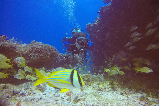 2 Tanks Scuba Diving in Punta Cancun Reefs for Certified Divers - Where the day starts: Hotel Sotavento and your 1:30 pm reality check
