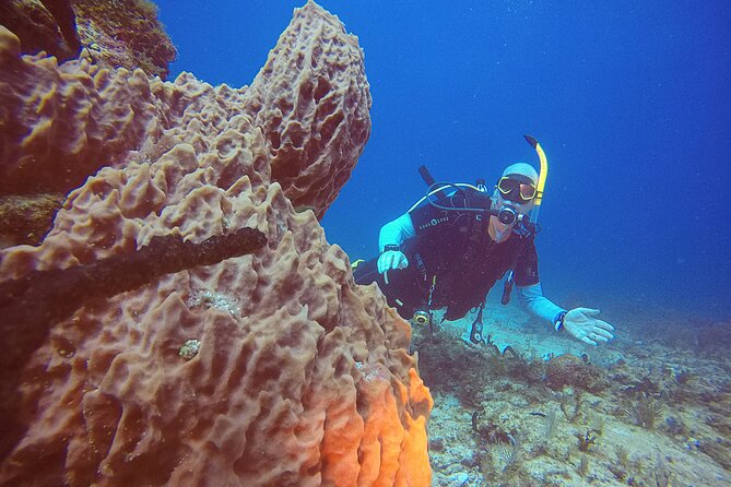 2 Tanks Scuba Diving in Punta Cancun Reefs for Certified Divers - The boat ride: views, timing, and motion-sickness prevention