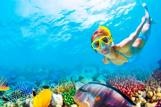 2x1 Tour: Isla Contoy, Isla Mujeres, Open Bar, Lunch and Transfers - Why Isla Contoy and Isla Mujeres work as a combo day trip