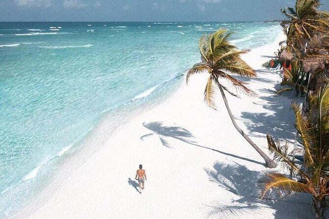 2x1 Tour: Isla Contoy, Isla Mujeres, Open Bar, Lunch and Transfers - Isla Contoy National Park snorkeling: reef time without the hassle