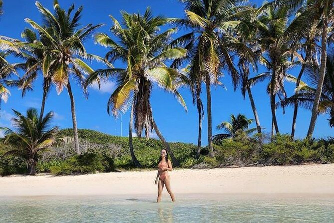 2x1 Tour: Isla Contoy, Isla Mujeres, Open Bar, Lunch and Transfers - Returning to Isla Contoy for more protected reserve time