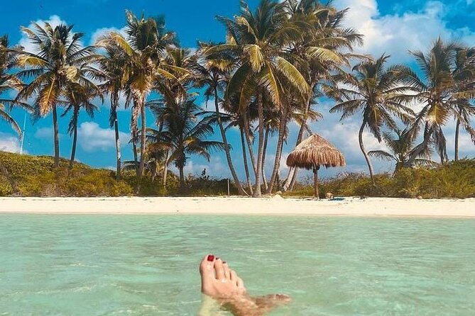 2x1 Tour: Isla Contoy, Isla Mujeres, Open Bar, Lunch and Transfers - Open bar on board plus buffet lunch: how to pace it well