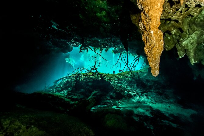 3 Cenote Dives - Casa & Dos Ojos - The Mayan jungle drive: pickup truck transport you should plan for