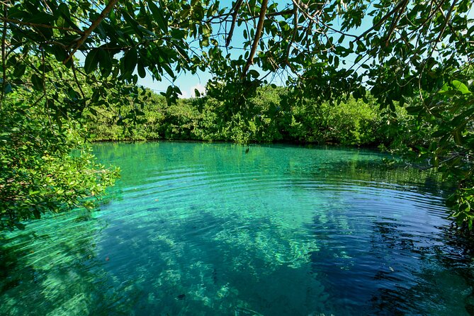 3 Cenote Dives - Casa & Dos Ojos - PADI instructors and safety: what the best reviews signal