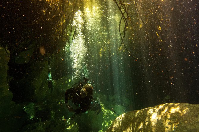 3 Cenote Dives - Casa & Dos Ojos - Fitness and comfort: who will enjoy this most