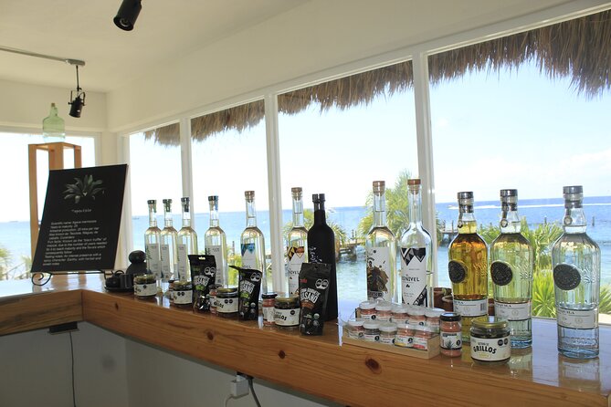 3-Hour Small-Group Mezcal and Tequila Tasting activity from Cozumel - What You Learn to Bring Home as a Connoisseur