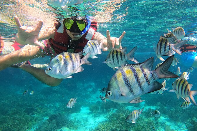 3 Hours VIP Semiprivate Tour Isla Mujeres Full Snorkeling Experience - Why this VIP Isla Mujeres snorkeling tour makes sense in 3 hours