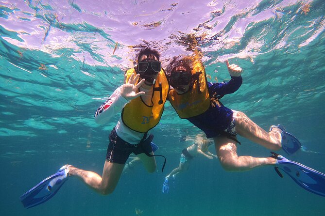 3 in 1 Jungle Tour Adventure Cancun - Driving your own speedboat through Nichupté mangroves