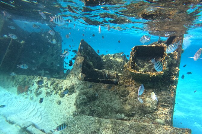 3 in 1 Jungle Tour Adventure Cancun - Snorkeling for coral, sea turtles, and a shipwreck