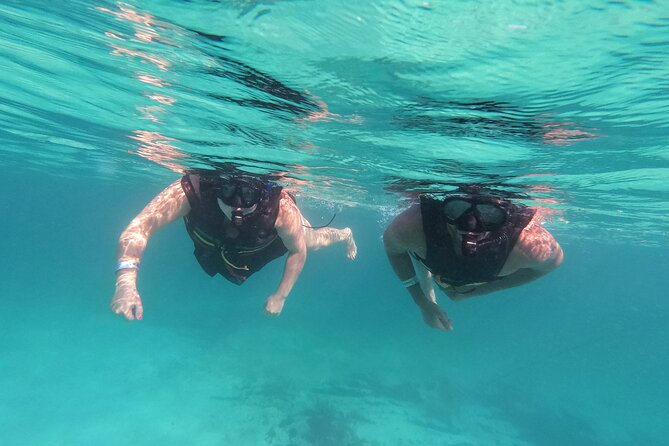 3 in 1 Private Tour Tulum Cenote and Snorkeling in the reef - Stop 2: Reef snorkeling at the national park, about 55 minutes